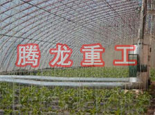 大棚花卉供暖設(shè)備、大棚卉采暖設(shè)備、大棚花卉取暖設(shè)備