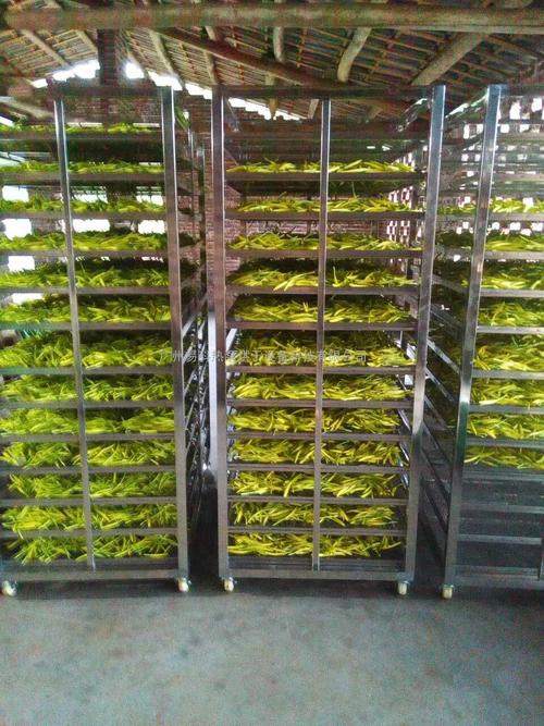黃花菜烘干機(jī)、黃花菜烘干設(shè)備、黃花菜干燥機(jī)、黃花菜干燥設(shè)備、